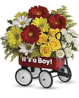 Baby\'s Wow Wagon - Boy