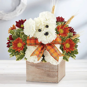 a-DOG-able for Fall