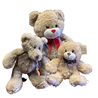Stuffed Teddy Bear