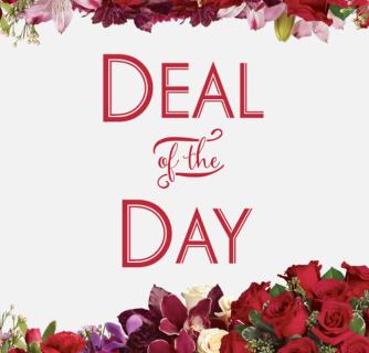 Deal of the Day - Designer\'s Choice