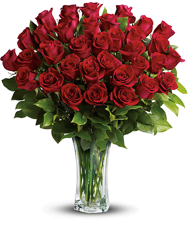 Love and Devotion - 24 Long Stemmed Red Roses