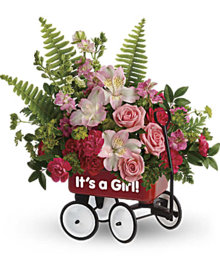 Baby\'s Wow Wagon - Girl