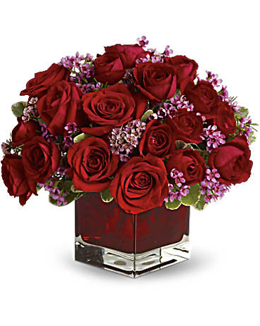 Never Let Go by Teleflora - 18 Red RosesBouquet