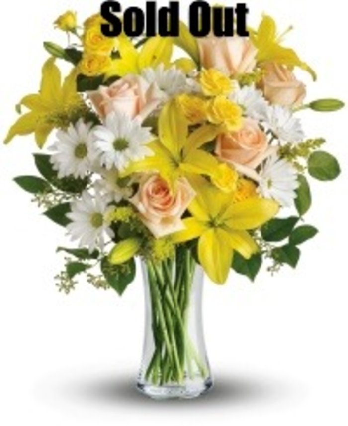 Daisies and Sunbeams