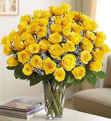 Ultimate Elegance Long Stem Yellow Roses