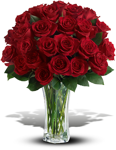 Love and Devotion - 24 Long Stemmed Red Roses