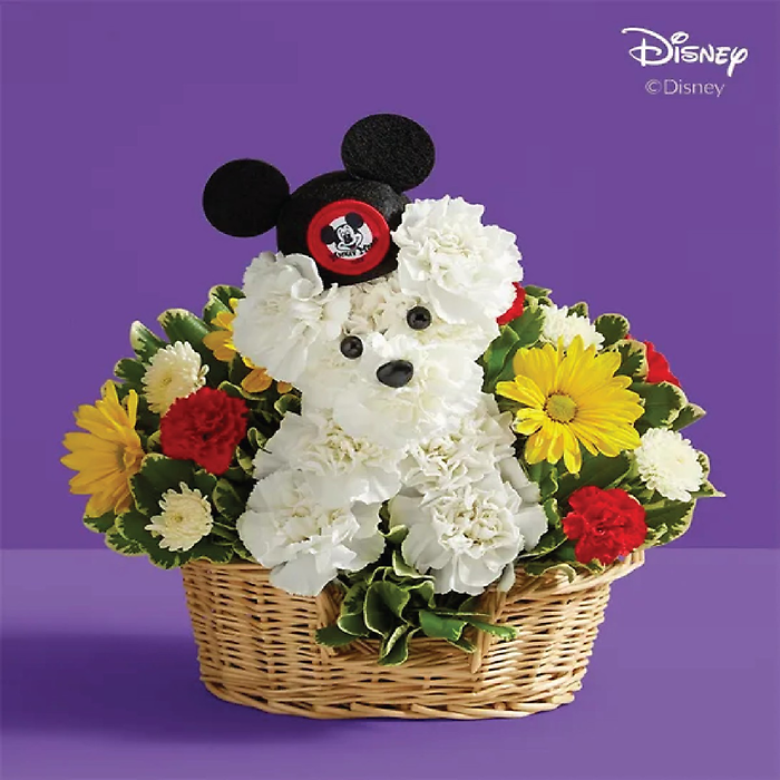 a-DOG-ableÂ® Disney Mickey Mouse