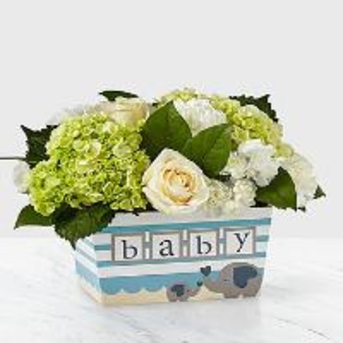 FTD Darling Baby Boy Bouquet