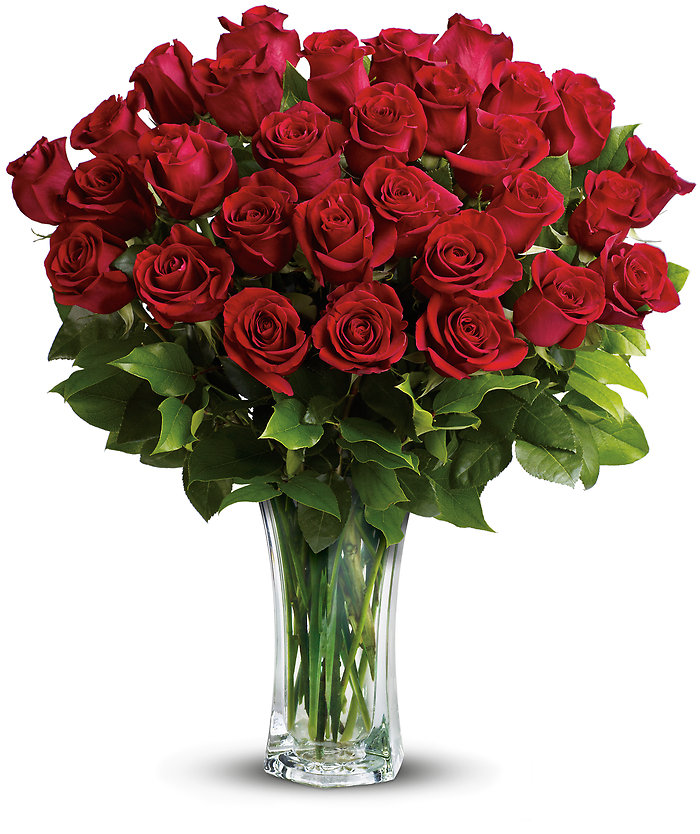 Love and Devotion - 24 Long Stemmed Red Roses