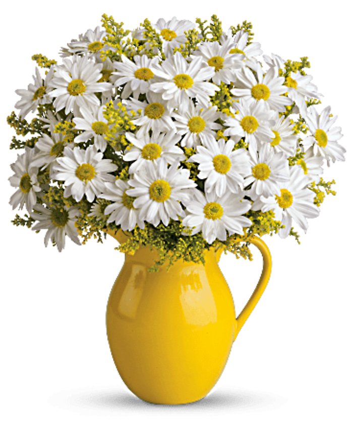 Sunny Day Pitcher of Daisies